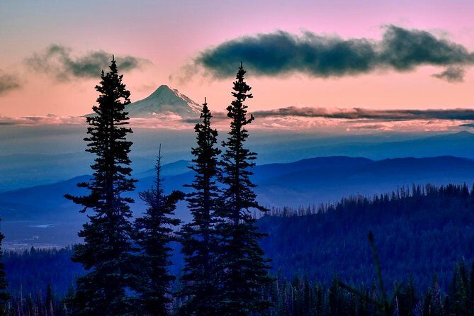 Columbia Gorge Waterfalls & Wineries from Portland: All-Inclusive Afternoon Tour - An In-Depth Look at the Tour Experience