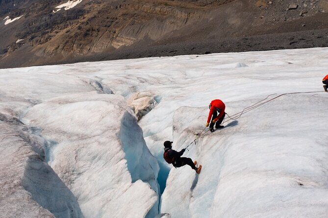 Columbia Icefield Adventure,Bow Lake,Peyto Lake in Banff & Jasper - The Sum Up