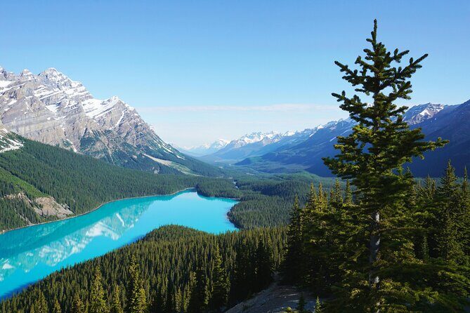 Columbia Icefield Bow Lake Peyto Lake Day Tour - An In-Depth Look at the Experience