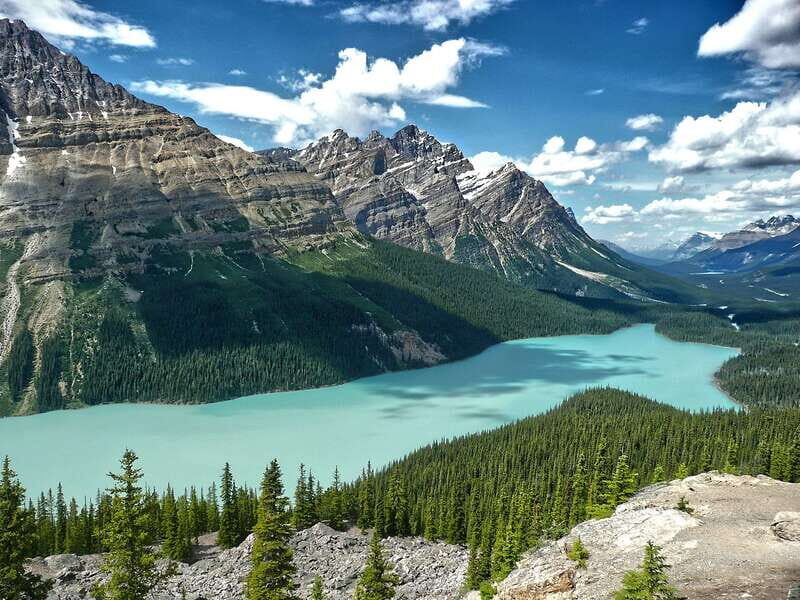 Columbia Icefield, Peyto Lake, Bow Lake Discovery Tour - The Practicalities: Tips for Making the Most of Your Day
