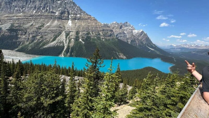 Columbia Icefield, Skywalk, Crowfoot Glacier, and Lakes Tour - What Do the Reviews Say?
