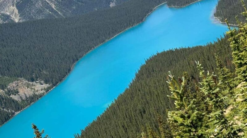 Columbia Icefield, Skywalk, Crowfoot Glacier, and Lakes Tour - The Sum Up: Is This Tour Right for You?
