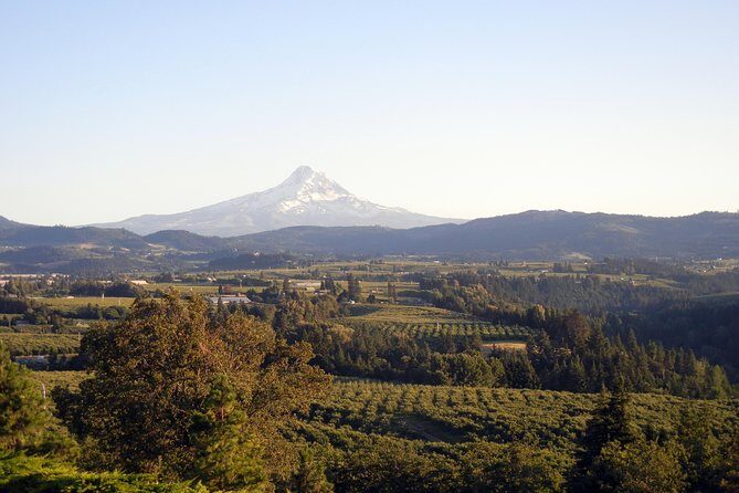 Columbia River Gorge Waterfalls & Mt Hood Tour from Portland, OR - Who Should Consider This Tour?