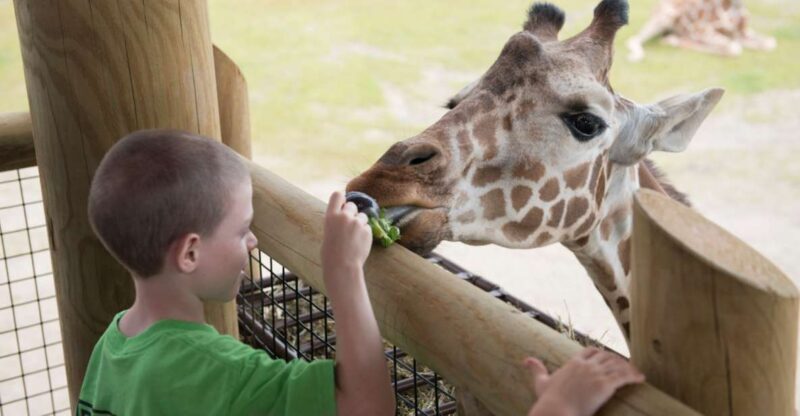 Columbus: Multiple Attractions Pass - What to Expect from the Columbus Multiple Attractions Pass