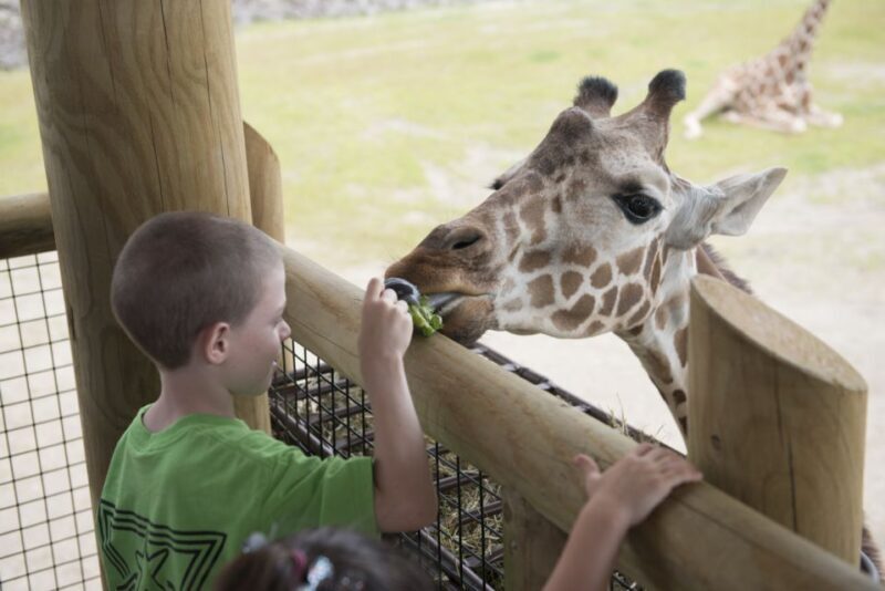 Columbus: Multiple Attractions Pass - Final Thoughts