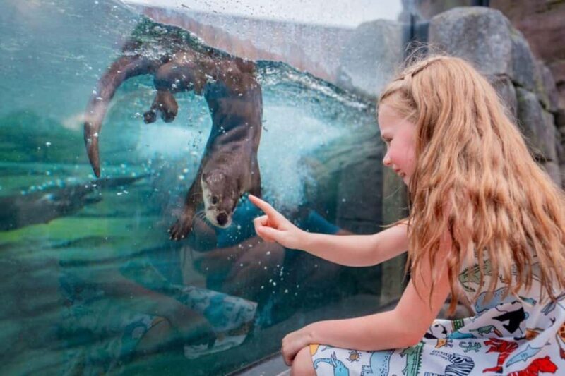 Columbus, OH: Columbus Zoo and Aquarium Entry Ticket - A Closer Look at the Columbus Zoo and Aquarium