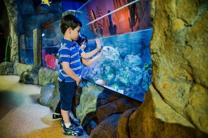 Combi Ticket: LEGOLAND Discovery Centre & SEA LIFE Oberhausen - A Detailed Look at the Tour