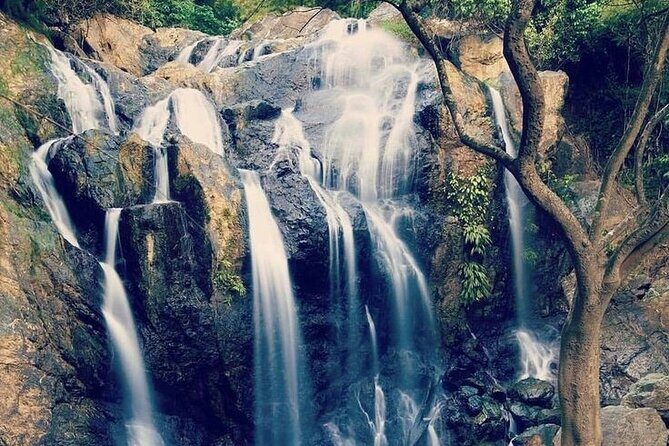 Combination: Argyle Waterfall & Tropical Garden with Hummingbirds - Who Will Love This Tour?