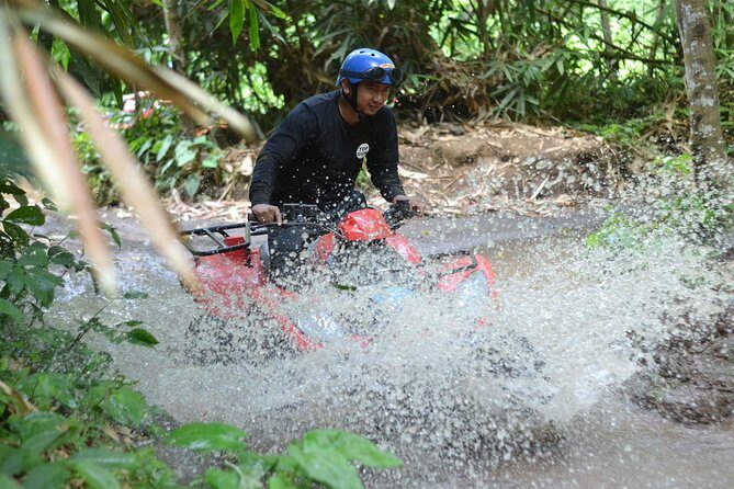 Combination ATV QUAD Bike Ride & Jungle Swing with Complimentary Lunch - A Closer Look at the Tour Experience