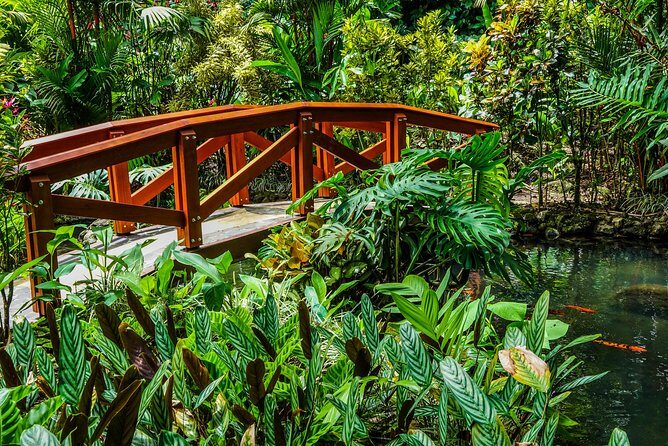 Combination Hanging Bridges, Waterfall, Volcano Hike & Hot Spring - Why This Tour Offers Great Value