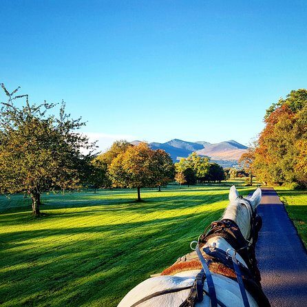 Combination Killarney Jaunting Car Tour and Lakes of Killarney Cruise - Experience Killarney in a Nutshell: Boat and Jaunting Car Tour