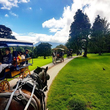 Combination Killarney Jaunting Car Tour and Lakes of Killarney Cruise - FAQs