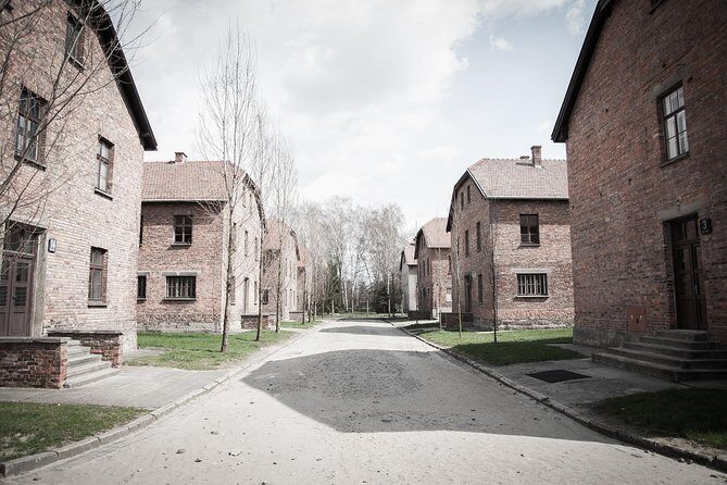 Combined: Auschwitz Birkenau and Salt Mine private chauffeur from Krakow - Key Points