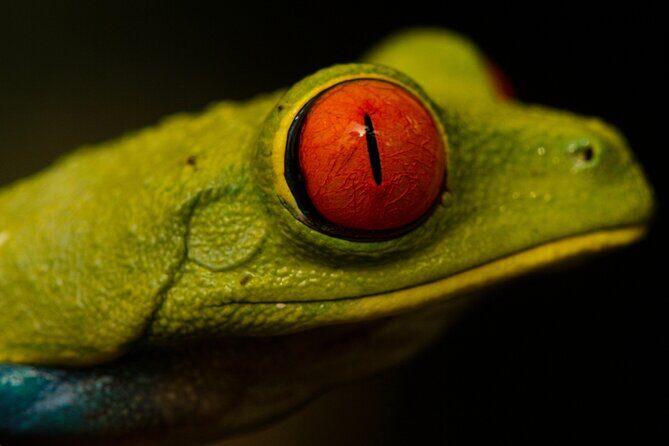 Combined Tour all day Bridges + Volcano + Lunch + Waterfall - The Sum Up