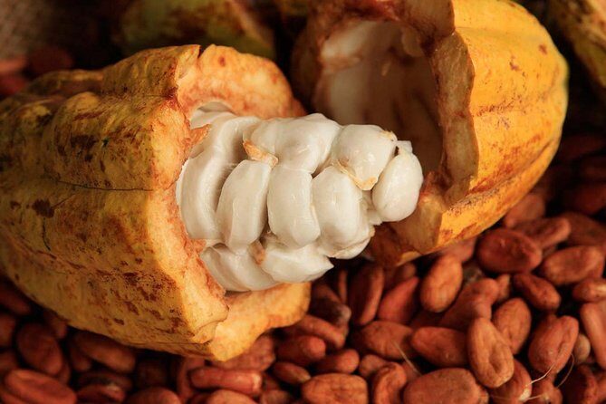 Combo 2 Caribbean Islands: Isla Mujeres, Cozumel with snorkel - Frequently Asked Questions