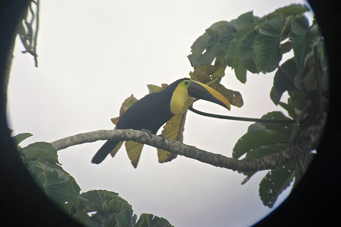 Combo 3 Best Tours In La Fortuna - Key Points