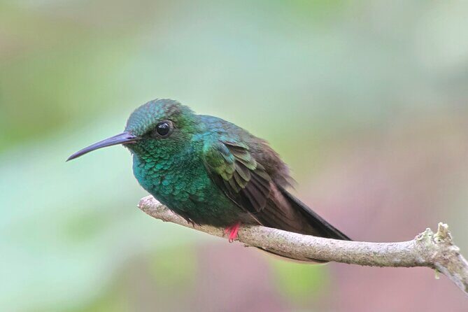 Combo 3 Best Tours In La Fortuna - Experience the Best of La Fortuna with the Combo 3 Tour