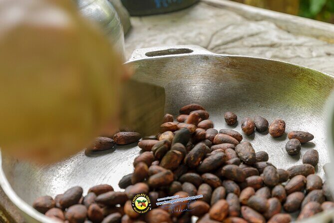 Combo 3: Manuel Antonio Park Tour & Chocolate Tour - A Full-Day Adventure in Costa Rica: Manuel Antonio National Park & Chocolate Tour