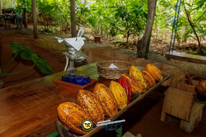 Combo 3: Manuel Antonio Park Tour & Chocolate Tour - The Value of This Tour