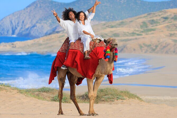 Combo 4x4 Automatic ATV and Camel Ride Tour in Cabo San Lucas - The Sum Up