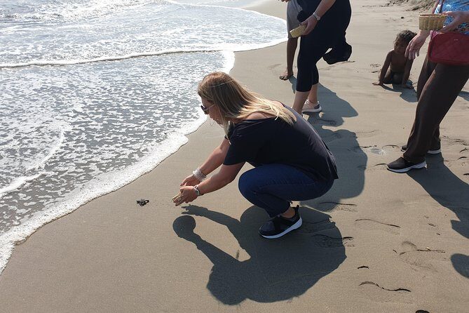Combo 6 Hr Tour All City Highlights Divers Baby Turtle Release - A Deep Dive into Your 6-Hour Acapulco Adventure
