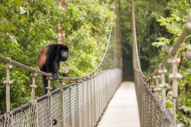 Combo Arenal: Suspension Bridges + Thermal Spa + Fortune Falls - Who Is This Tour Perfect For?