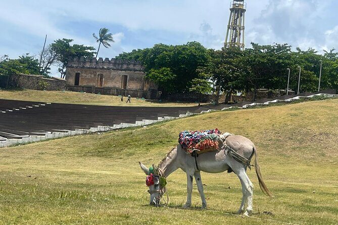 Combo : ATV Adventure & Cultural City Tour with Lunch - Authentic Dominican Lunch & Convenience