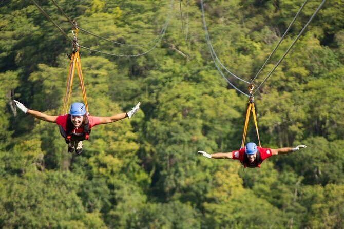 Combo: Day Trip to Hanging Bridges + ZipLine in Monteverde - Is This Tour Worth the Price?