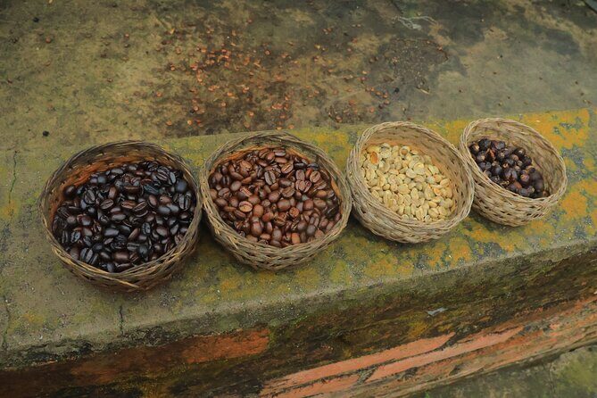 Combo Extreme Adventure + San Sebastian - Who Should Consider This Tour?