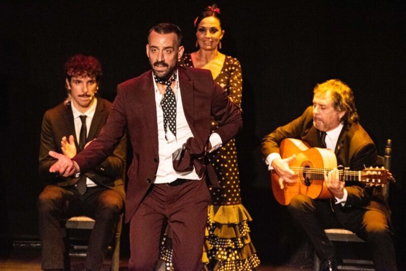 Combo: Hop on hop off + Flamenco Show & Walking tours - Exploring Seville: A Practical Guide