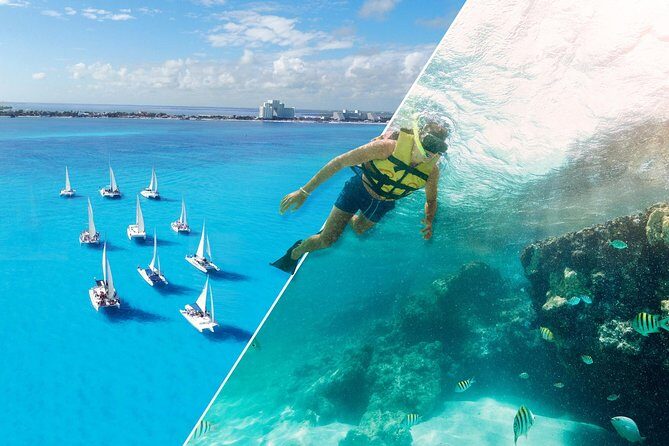 Combo Jungle Tour + Isla Mujeres Catamaran Tour - An In-Depth Review of the Combo Jungle + Isla Mujeres Tour
