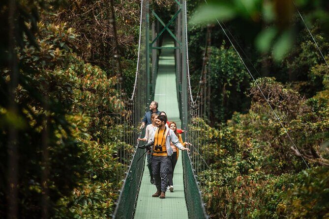 Combo Monteverde: Cable car + zip line tour + suspension bridges - Key Points