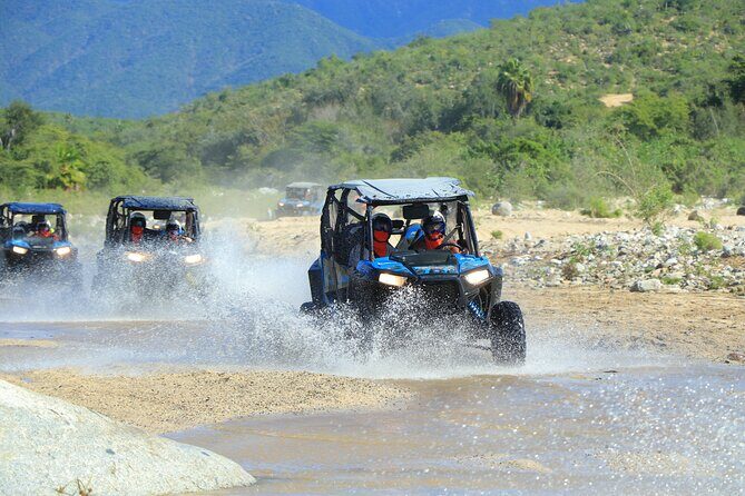 Combo Off Road 4x4 UTV Camel Ride Lunch and Tequila Tasting - What We Love About This Tour