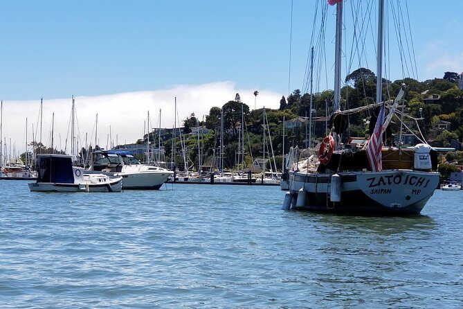 Combo Small-Group Tour: SF City plus Muir Woods & Sausalito - Who Should Consider This Tour?