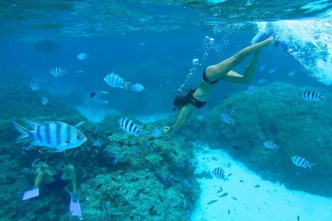 Combo snorkeling + motu lunch + jet ski group tour full day - Key Points