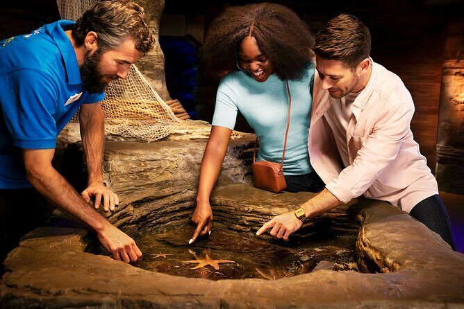 Combo Ticket: Madame Tussauds & SEA LIFE London Aquarium - The Value of the Combo Ticket