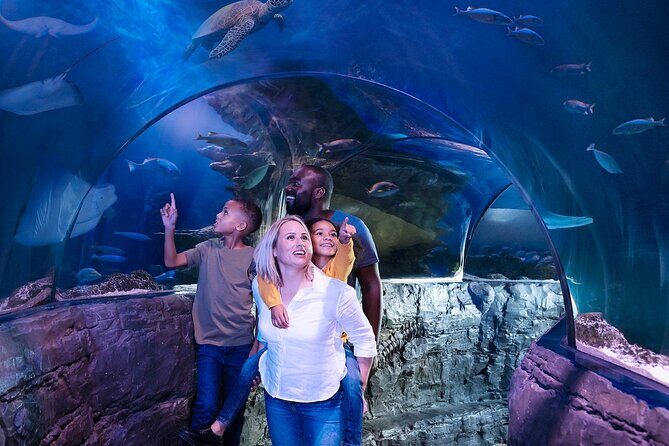 Combo Ticket: Madame Tussauds & SEA LIFE London Aquarium - Who Should Consider This Tour?