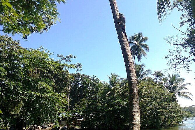 Combo Tour from Puerto Limon - Key Points