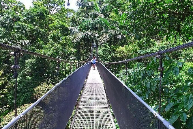 Combo Tour: Hanging Bridges + Thermal Spa in Arenal - Key Points