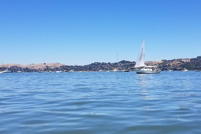 Combo Tour: Muir Woods, Sausalito and Sonoma Wine Country Tour - The Sum Up