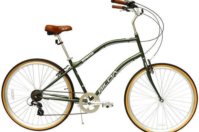 Comfort Hybrid Bike Rental - Key Points