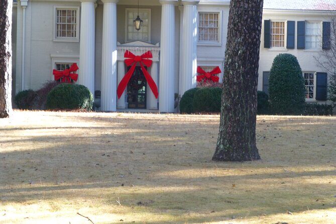 Coming Home For the Holidays - The Detailed Tour Experience