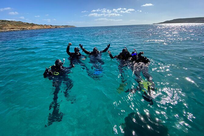 Comino Guided Snorkeling Experience - The Sum Up: Is This the Right Snorkeling Tour for You?