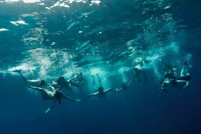 Comino Guided Snorkeling Experience - Frequently Asked Questions