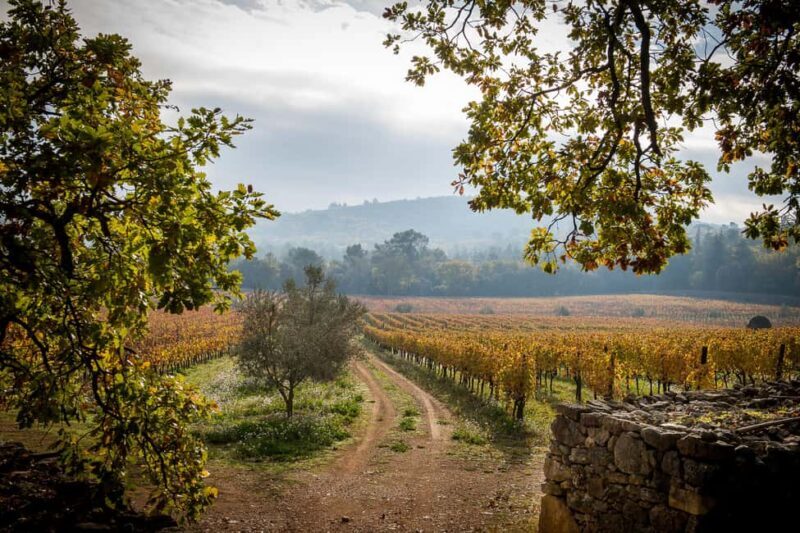 Commanderie de Peyrassol: Guided tour of the wine cellars - The Value of the Experience