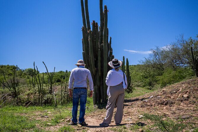 Community and Biodiversity Tour of the Tatacoa Desert. Villavieja - A Deep Dive into the Experience