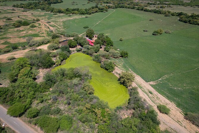 Community and Biodiversity Tour of the Tatacoa Desert. Villavieja - Who Should Consider This Tour?