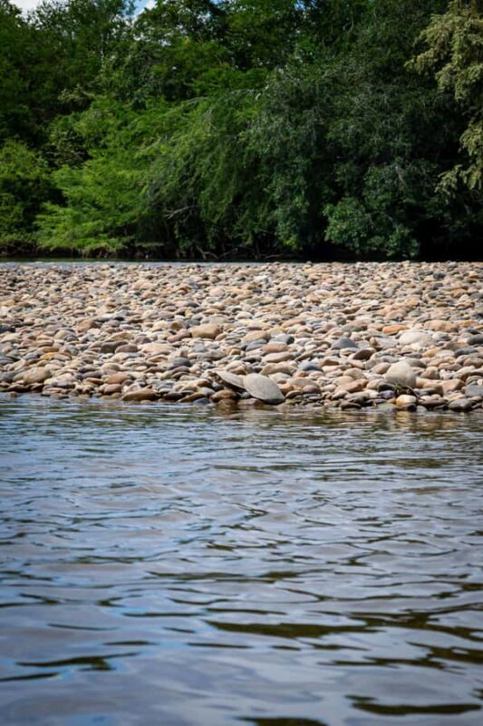 Community and Biodiversity Tour of the Tatacoa Neiva Desert - Final Thoughts: Who Should Consider This Tour?