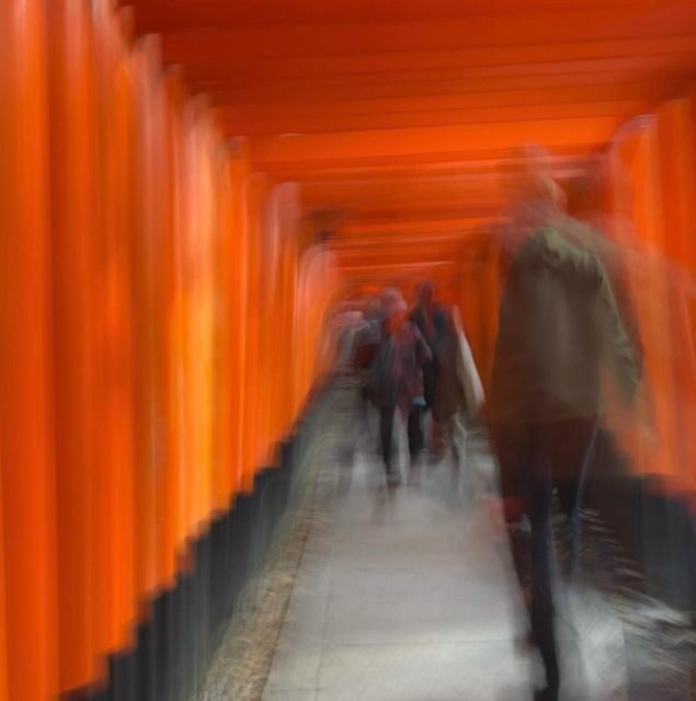 Compact Kyoto day tour experience - Key Points