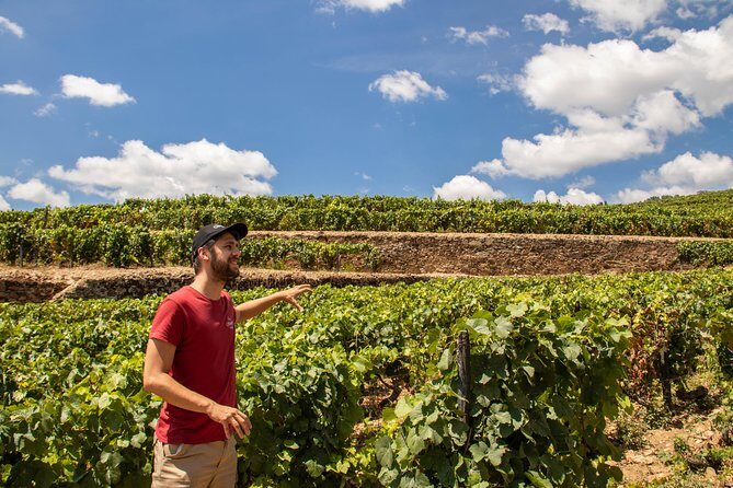 Complete Douro Valley Wine Tour with Lunch, Wine Tastings and River Cruise - Key Points